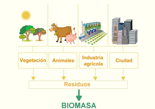 obtención de energía a partir de la biomasa